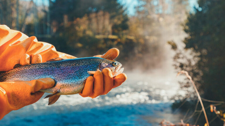 Featured image for BAP Spotlight Story: Entre Ríos