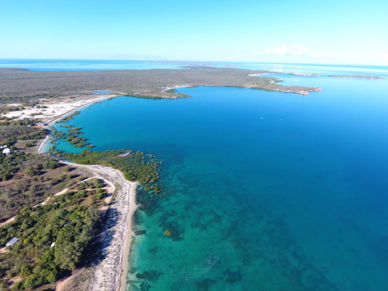 Featured image for Aquaculture Down Under: Exploring and Admiring Australian Aquaculture