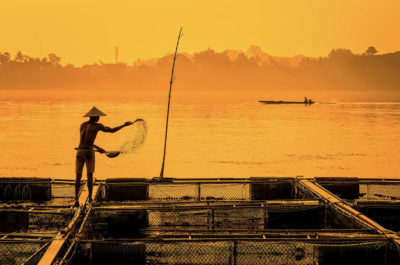 Featured image for Three-Year Study Concludes With Recommendations To Further Strengthen BAP Social and Labor Standards, Improve Compliance