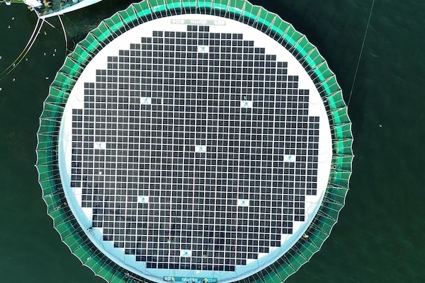 Article image for Chile’s first solar-powered net pen aims to cut aquaculture emissions and reduce diesel use