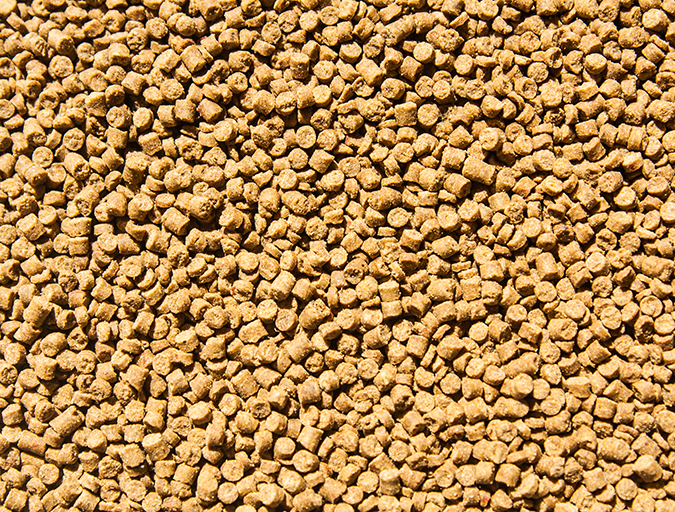 Featured image for Talking Points: GAA/BAP & Social Responsibility