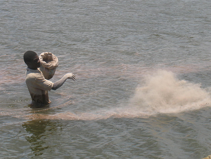 Featured image for Best Aquaculture Practices Releases New Version of Logo Use Requirements