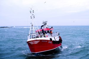 Responsible Seafood Innovation Awards finalist: The on-board innovation set to improve animal welfare – and life on deck – for the U.K. scampi industry