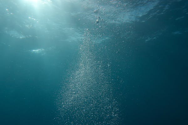 Article image for Researchers point to ocean oxygen as key to improving fisheries management