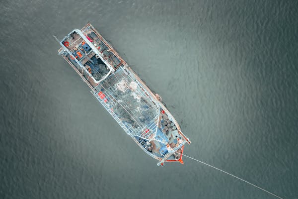 Article image for RFMOs are falling short of high-seas mandates, Duke University analysis finds