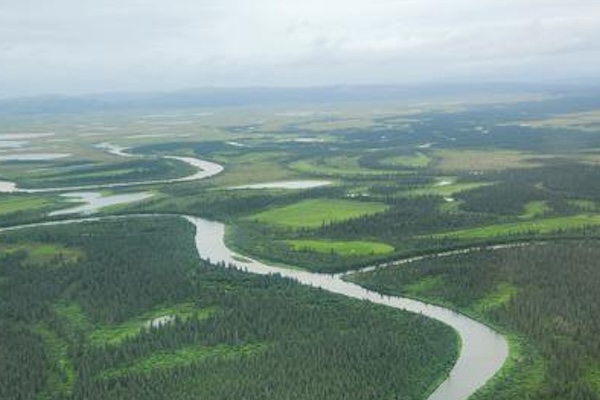 Article image for Study: Warming Arctic rivers threaten Chinook salmon and food security for Indigenous communities
