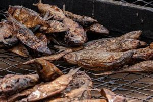 Study reveals dried fish’s vital role in nutrition and food security across Africa