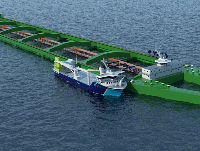 Article image for Chem-free fixes emerging in sea lice saga