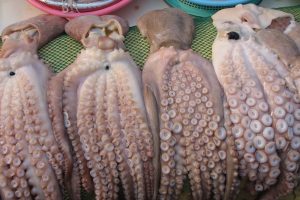 Developing a Gear-based Fisheries Management Index for coastal and offshore fisheries in Korea