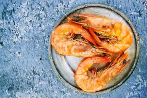 BioMar and Innovafeed to introduce insect protein to Ecuador’s shrimp feed industry
