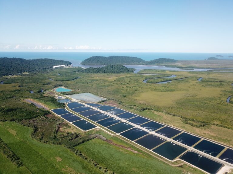 Featured image for BAP Spotlight Story: MainStream Aquaculture