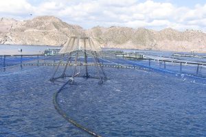 Can GIS-based proxy models estimate aquaculture production capacity?