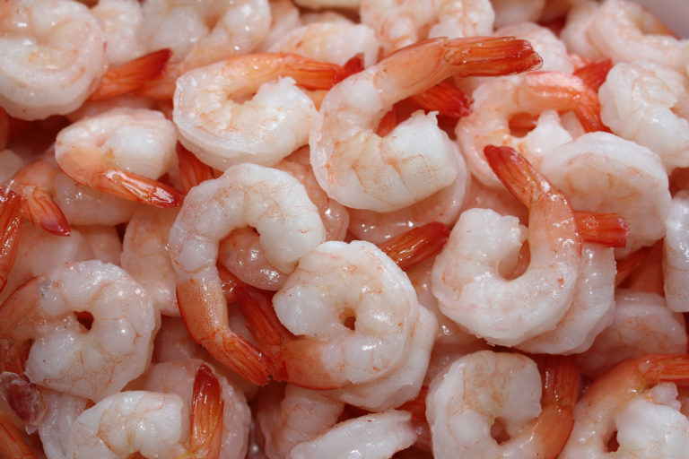 Featured image for GAA Partners with The Economist for Sustainability Summit