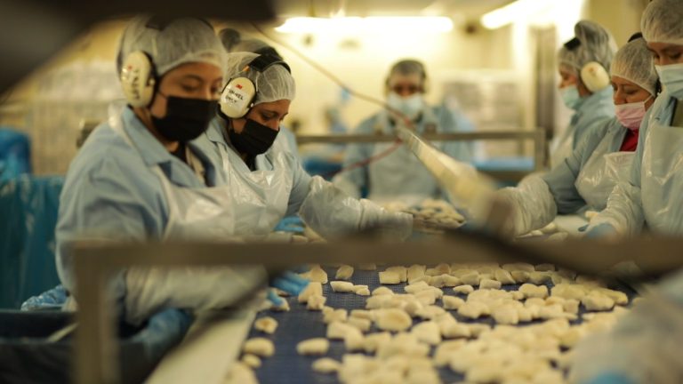 Featured image for Atlantic Capes First Company to Achieve Supply Chain Best Seafood Practices (BSP) Certification