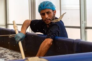 As seafood demand rises, Morocco ramps up aquaculture expansion with World Bank support
