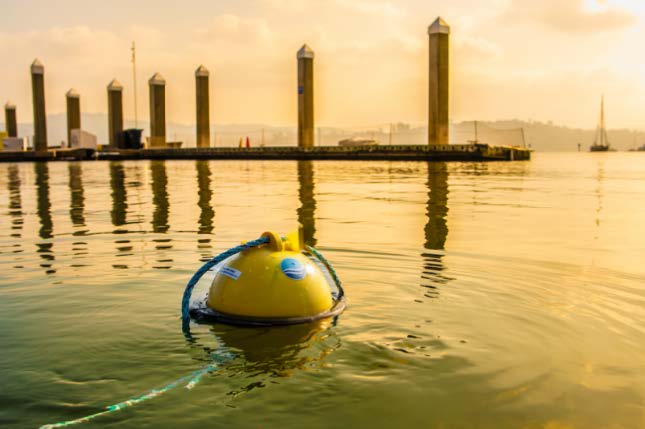 Featured image for Blue Ocean Gear: Keep lobster fisheries fishing with gear tracking