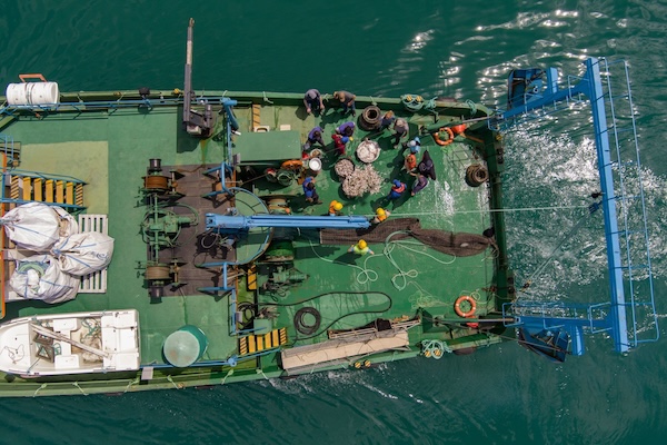 Article image for FAO: Overfishing at 10-year low in Mediterranean and Black Sea