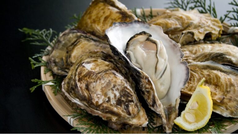 Featured image for Harimanada Co., Ltd. is World’s First BAP-Certified Oyster Producer in Japan