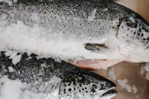 BioMar more than doubles vitamin D levels in its farmed salmon diets