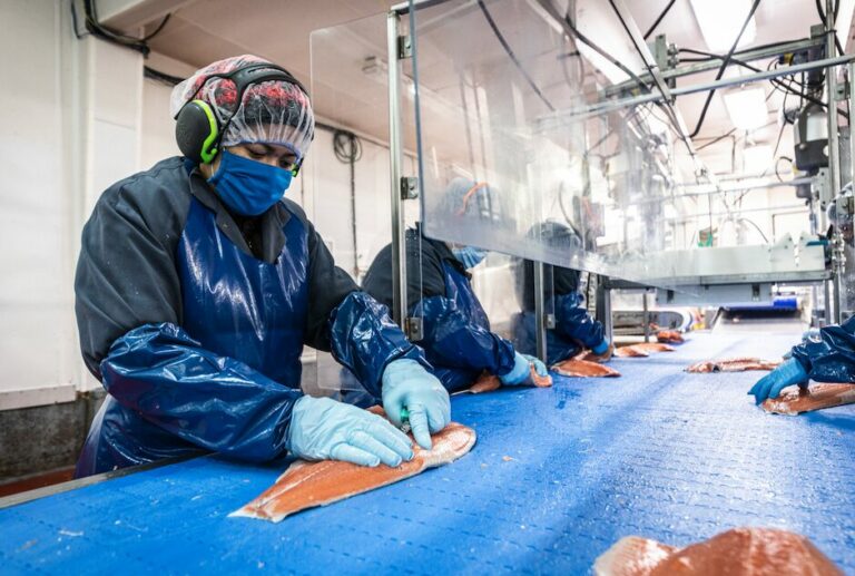 Featured image for GSA Releases Seafood Processing Standard Version 6.0