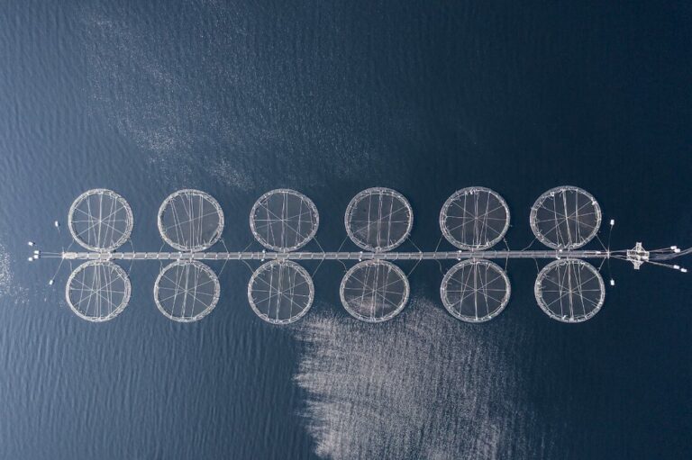 Featured image for Public Comment Sought for Salmon Farm Standard Issue 3.0