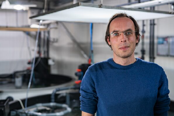 Featured image for BAP Spotlight Story: The Kingfish Company