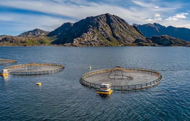 Featured image for GSA Releases Salmon Farm Standard Issue 3.0