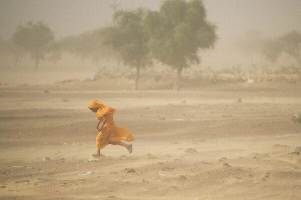 Article image for Study: Overhauling global food systems with sustainable seafood may help boost food security and avert worsening land crisis