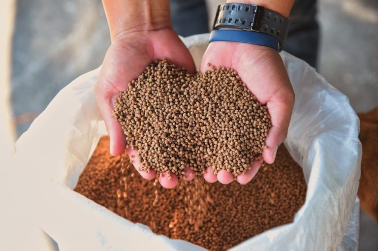 Featured image for GSA Releases Feed Mill Standard Issue 3.3