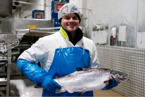 Tasmanians pursue selective breeding to produce salmon with improved heat and disease tolerance