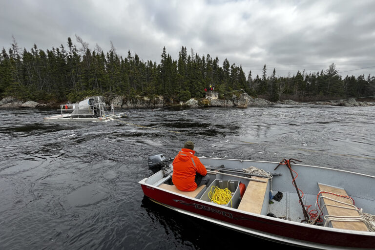 Article image for In Canada, the smolt wheel is proving to be a well-rounded solution for salmon migration and conservation