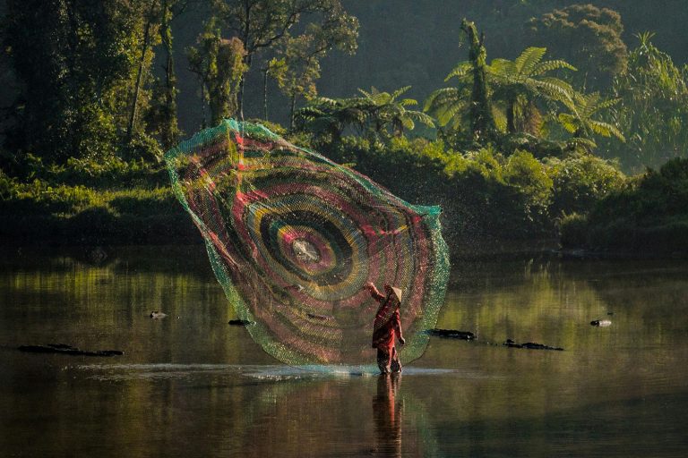 Article image for El pescado importado puede aportar nutrientes a países con inseguridad alimentaria. ¿Pero a qué precio?