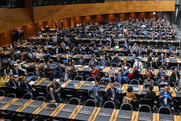 Article image for WTO adopts first global rules to curb harmful fisheries subsidies