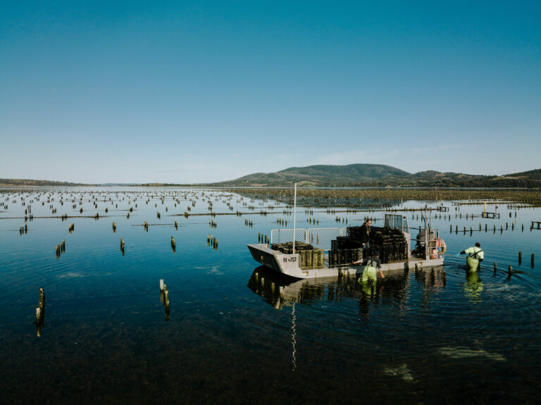 Featured image for Yumbah Aquaculture Is World’s First BAP-Certified Oyster Producer in Australia