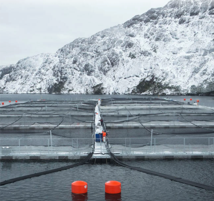 Featured image for GAA Films’ intimate portrayal of a life spent salmon farming