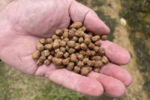 Ongoing shifts from fishmeal and fish oil in aquafeeds require careful attention to habitat impact trade-offs