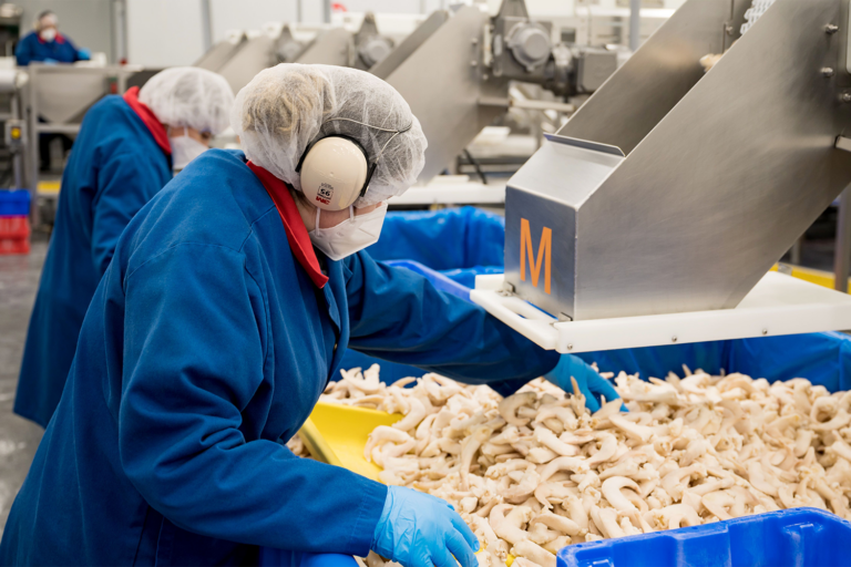 Article image for ‘Building towards abundance’: How Indigenous-owned Clearwater Seafoods is reshaping Canada’s seafood industry