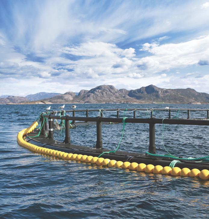 Featured image for GAA’s 30 Under 30 Blog Takeover