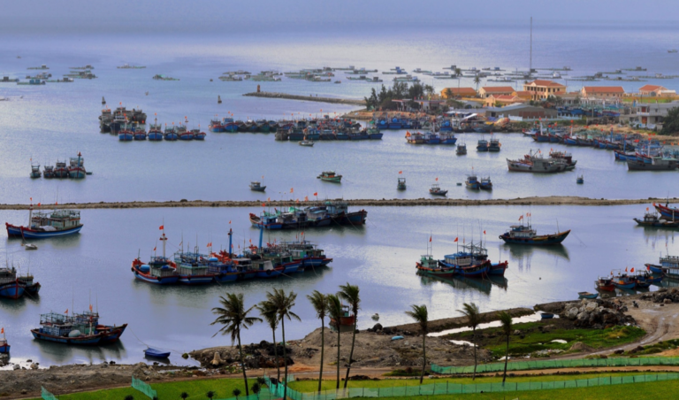 Featured image for First Overarching Study for South-East Asian Fishmeal Industry Provides Recommendations