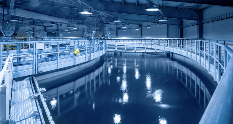 Featured image for Recirculating Aquaculture Systems (RAS) Vanguard Standard Released for Public Comment