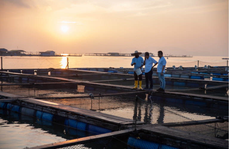 Featured image for BAP Spotlight Story: GST Group