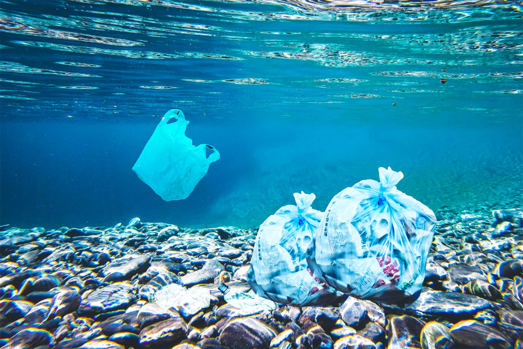 Article image for Assessing the effect of seafloor plastic litter on fishing economic performance and commercially important Mediterranean species