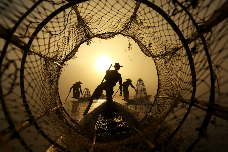 Featured image for Responsible Seafood: the Environmental Impact of Aquaculture